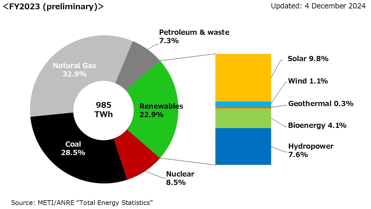 Electricity Generation Mix