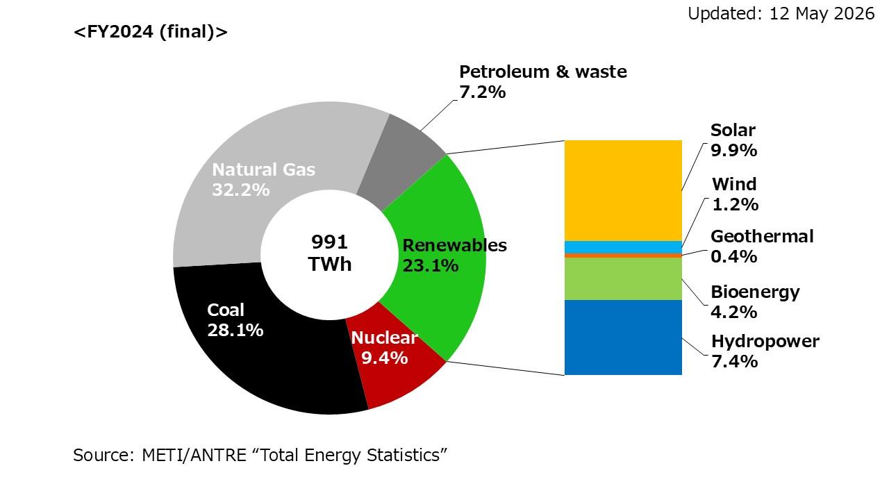 Electricity Generation Mix