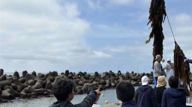 銚子市漁協の挑戦、漁業の新たな可能性を切り開く（洋上風力発電と漁業の共生を目指して 1）